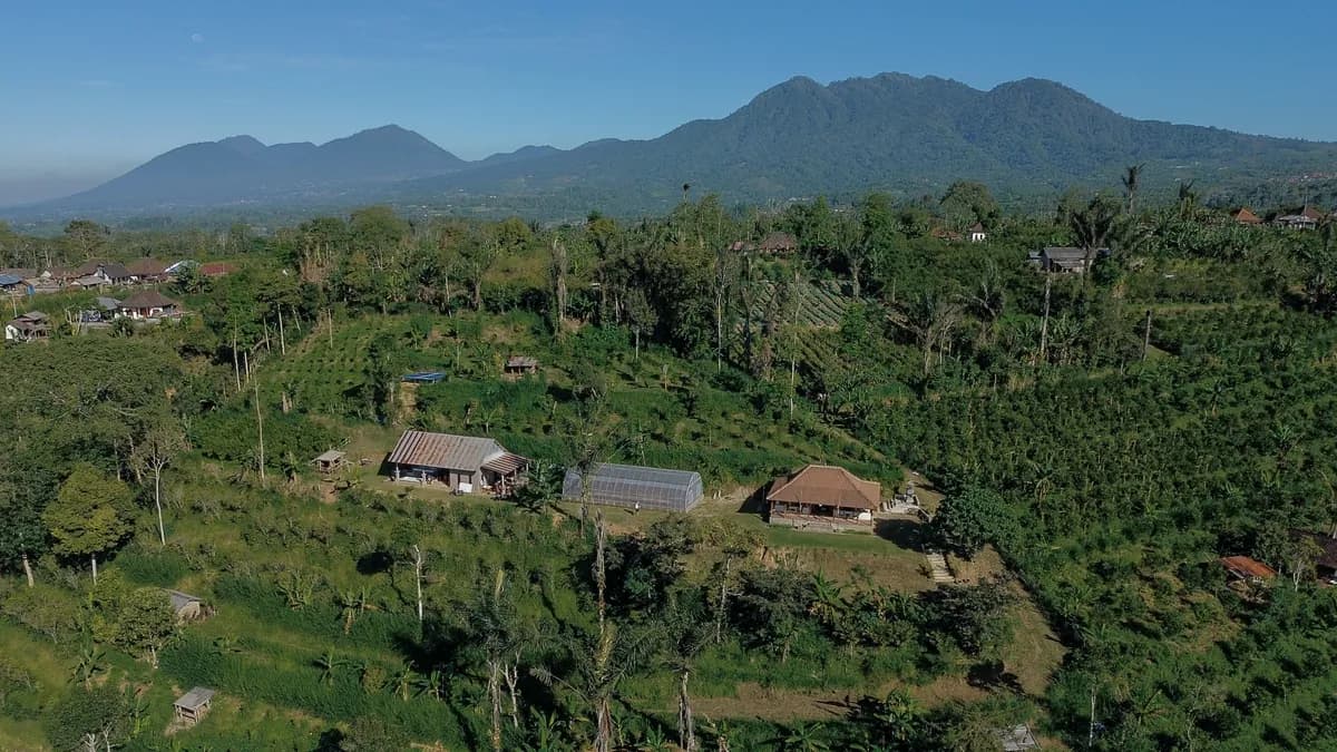 The valley and the plantations from the air
