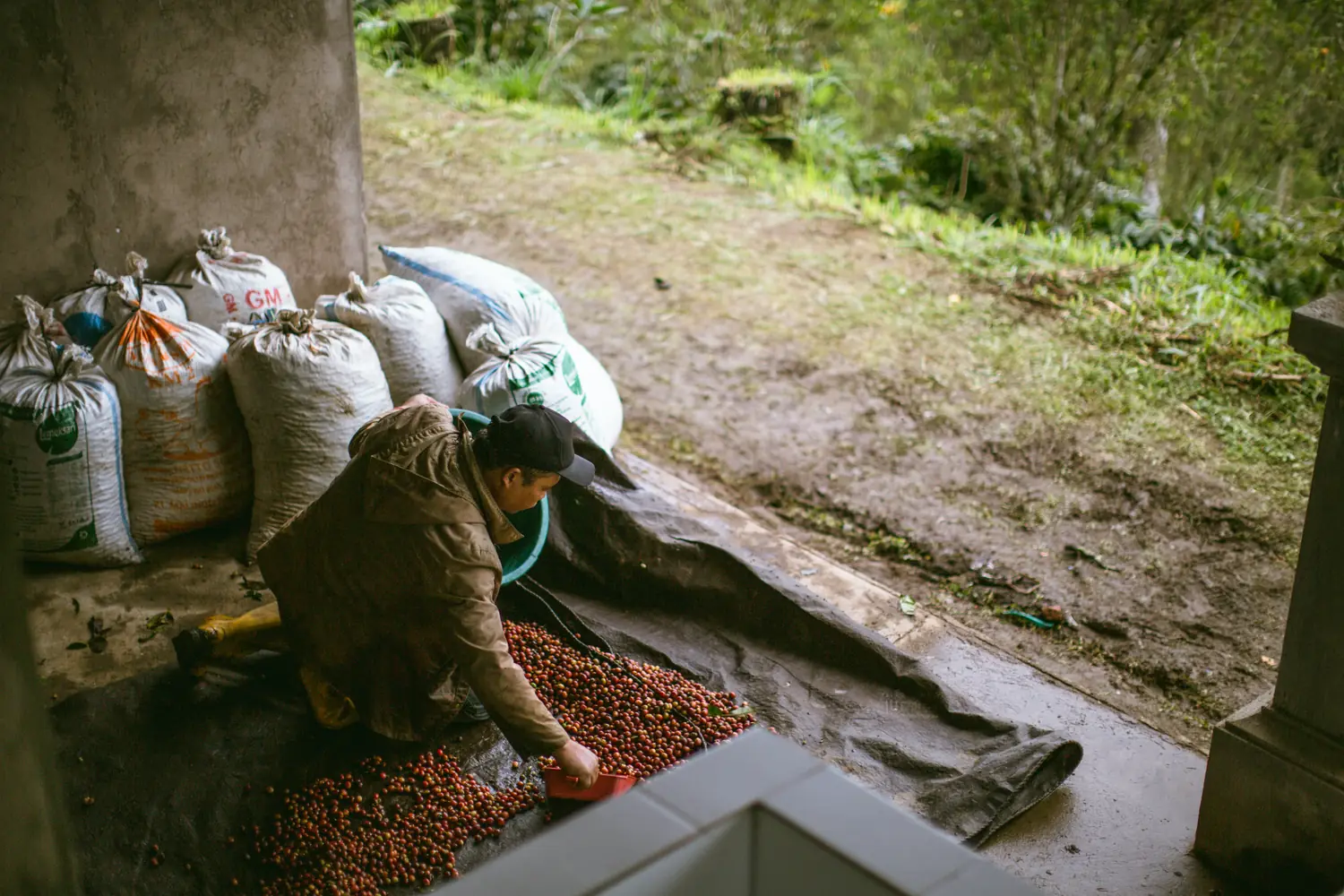 Sacks and drying beds under the open shed at the edge of the farm