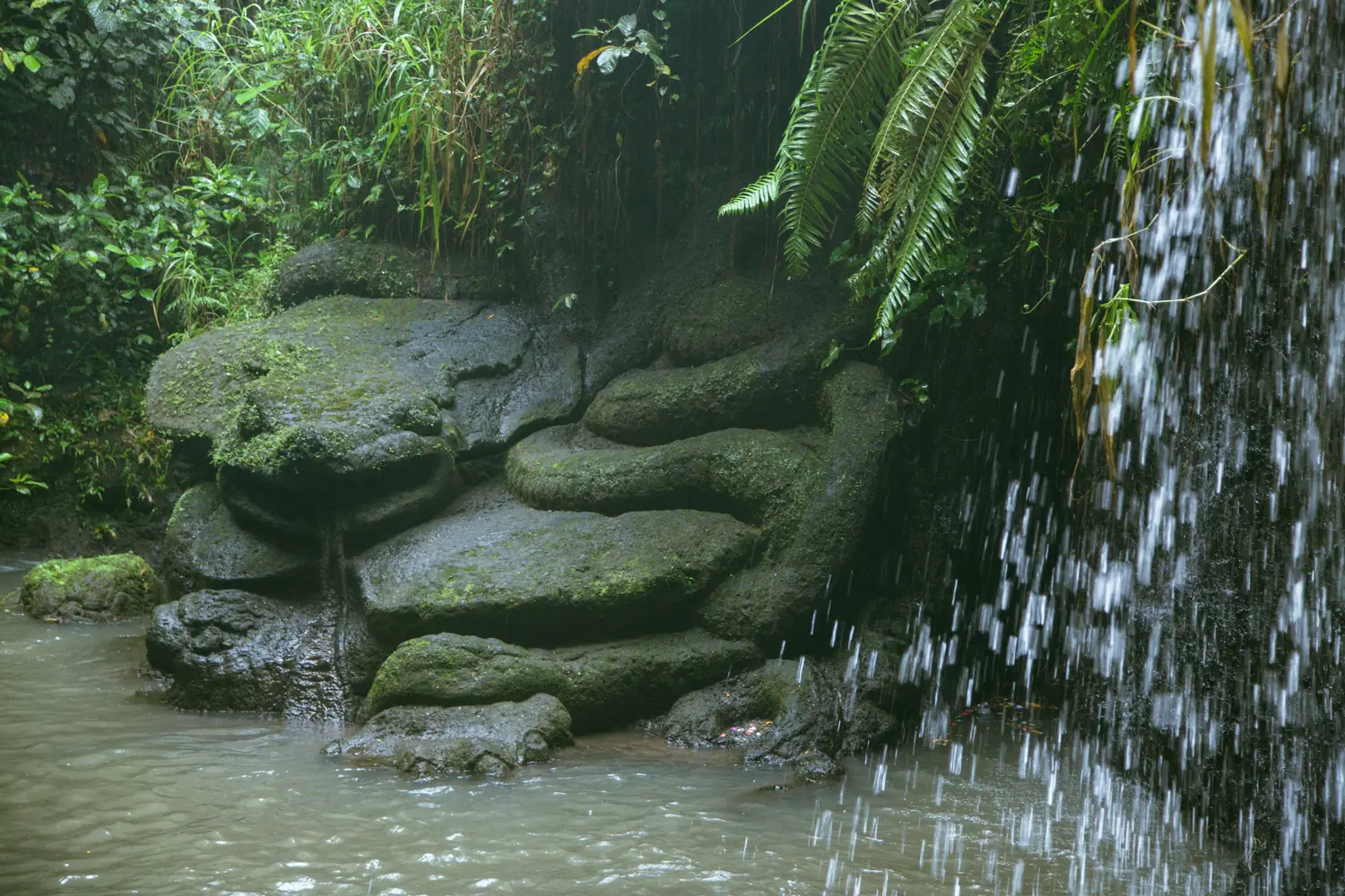 Mossy boulders and a still pool at the foot of the falls
