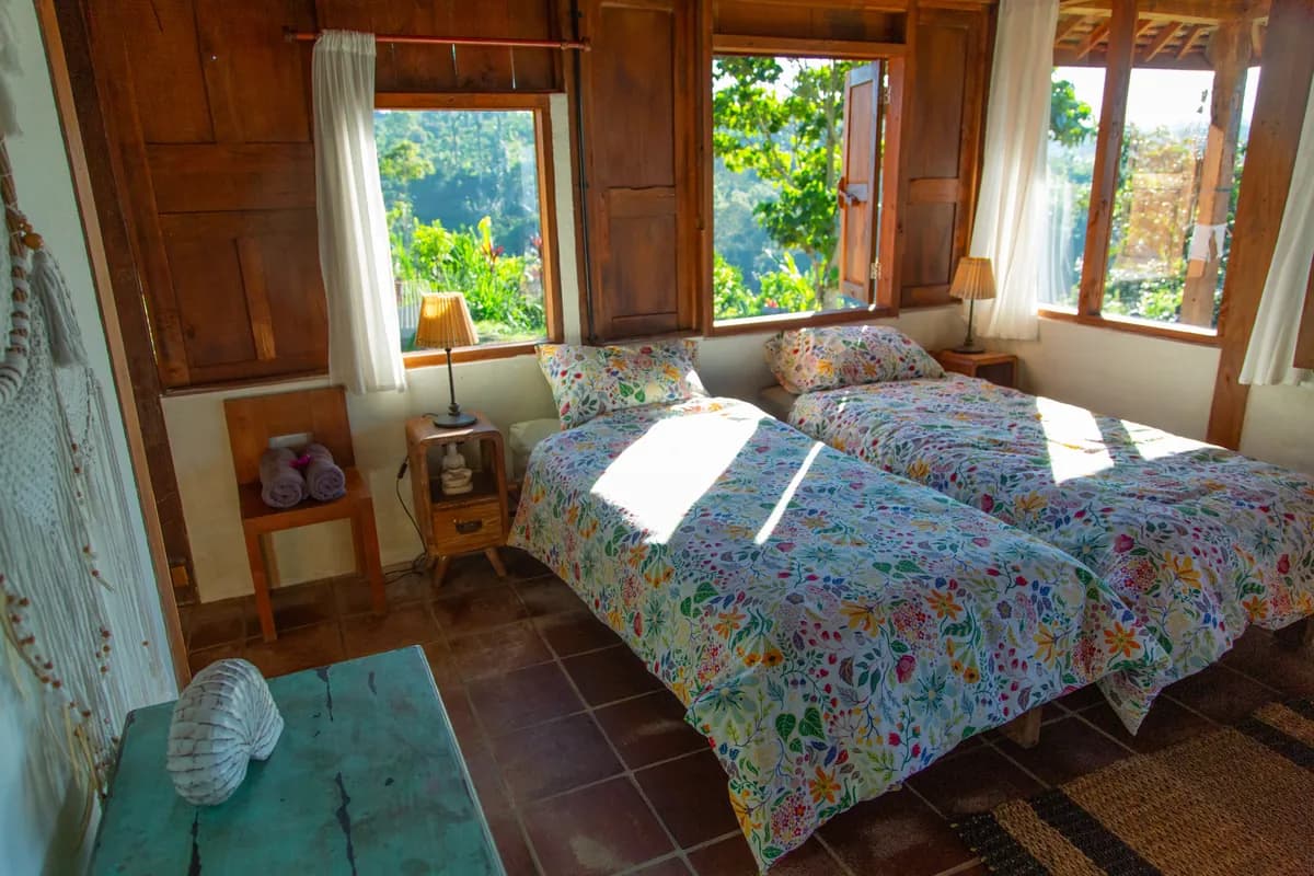 Morning light across a guest bed
