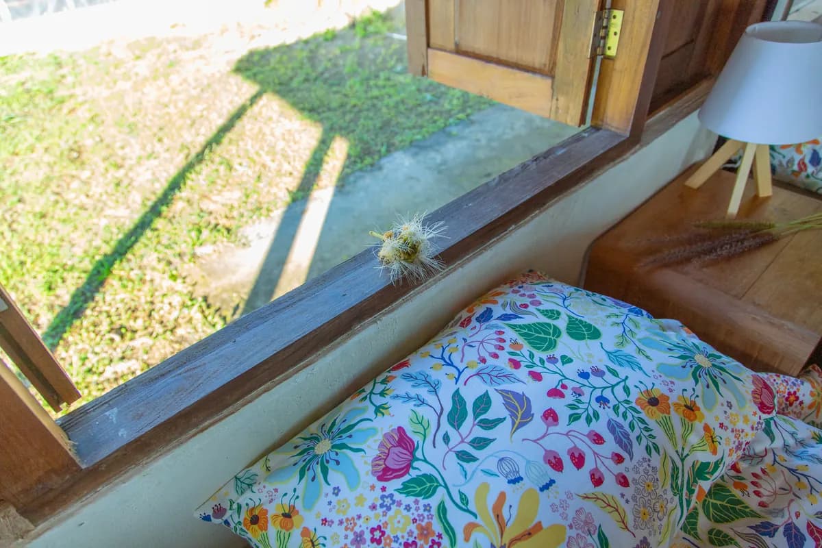 A bed beside the tall timber windows