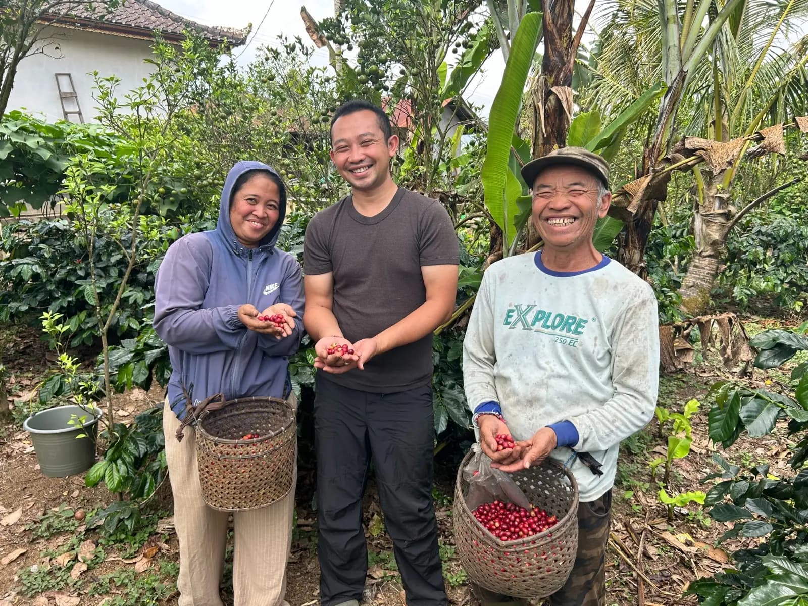 Sang standing between two of the farmers in the coffee garden, the three of them holding handfuls of just-picked red cherries